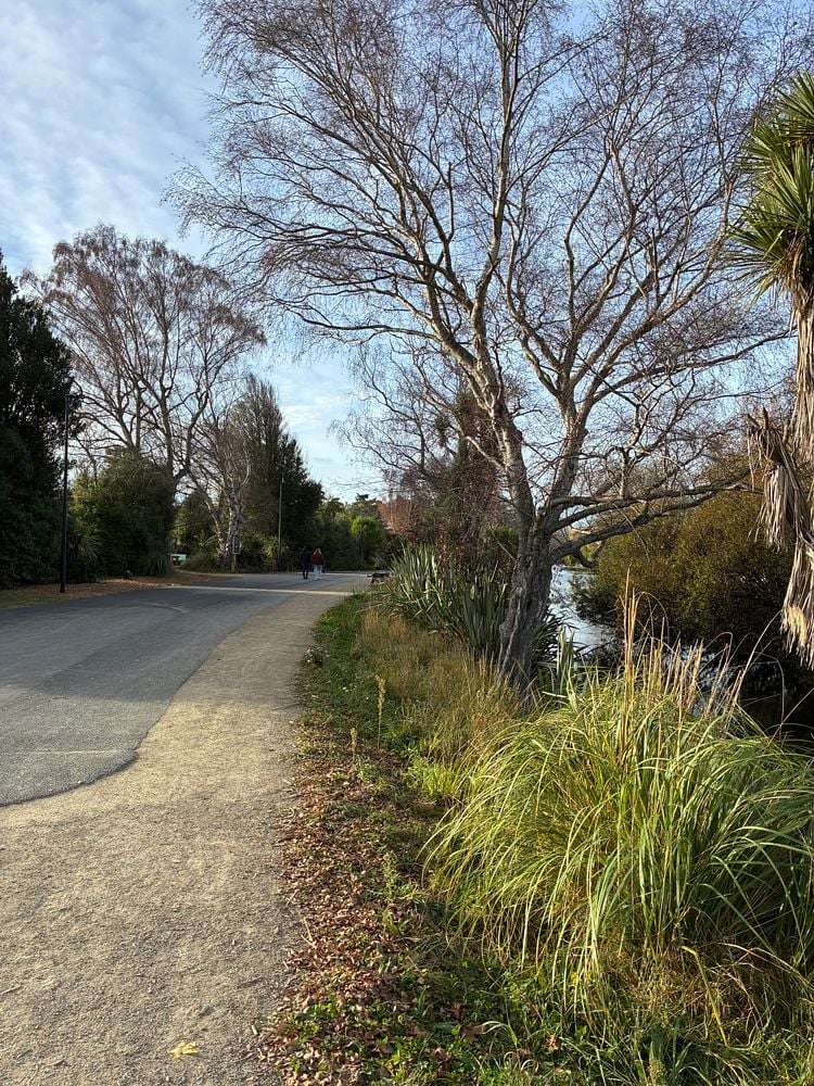 7 Ettrick Lane Richmond_25