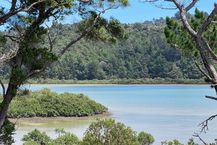 142a Kittiwake Drive, Schnapper Rock_5