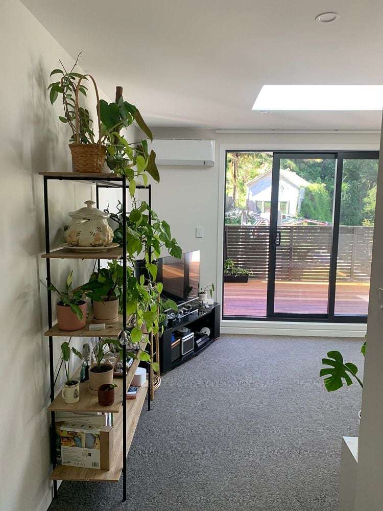 2/229 Aro Street Aro Valley_19