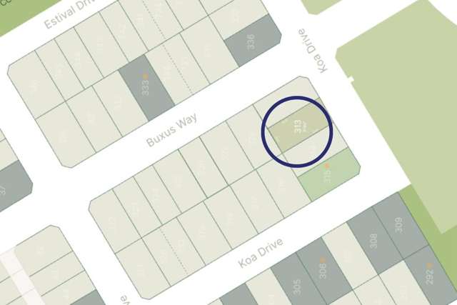 Lot 313 Arbor Green Rolleston_2