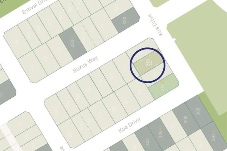 Lot 313 Arbor Green_2