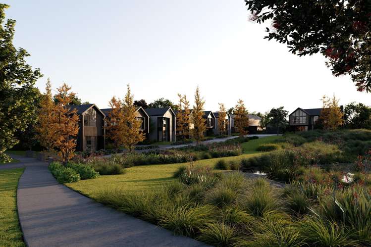 245 Matakana Road Matakana_2