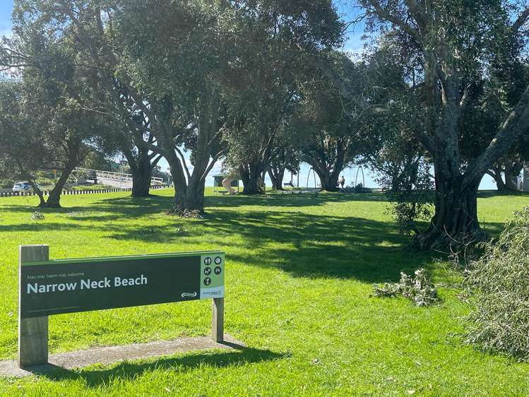 1/22 North Avenue Narrow Neck_16