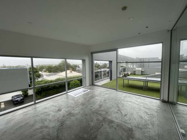 3.2/36 Williamson Avenue Grey Lynn_3