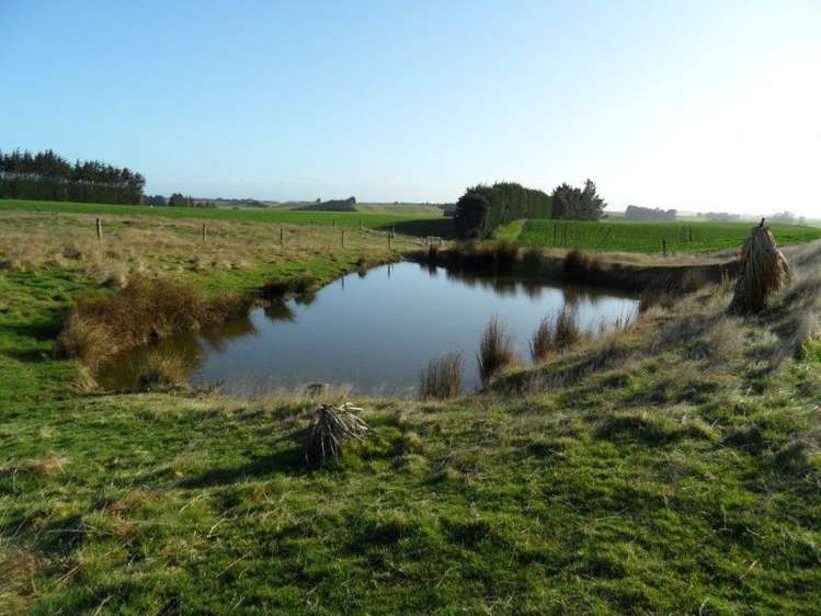 801 Hillfoot Road Clinton and Surrounds_11