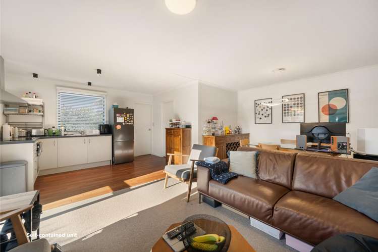 11 and 11A Niger Street Wanaka_19