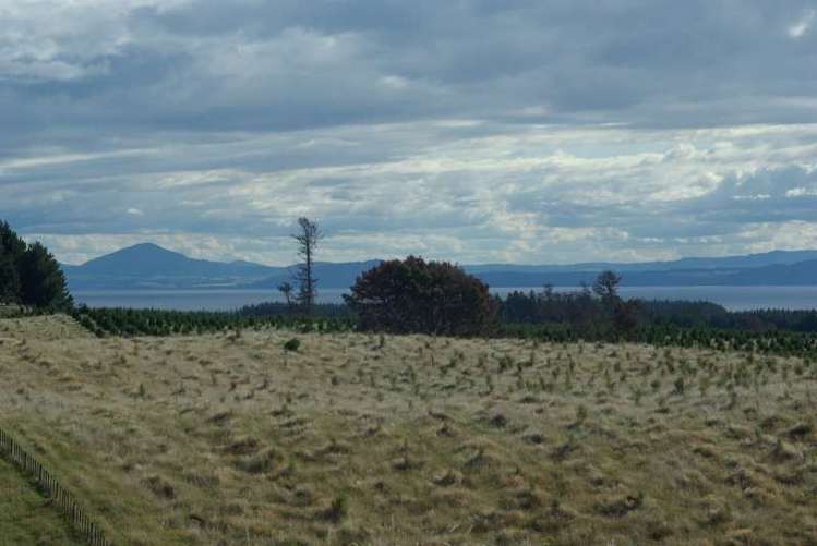 3/12 Michaels Way Maunganamu_13