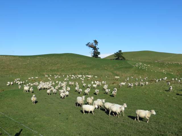 20 Long Range Road Central Hawkes Bay Coastal_1