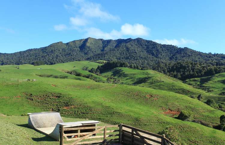 668 Te Hutewai Road Raglan_15