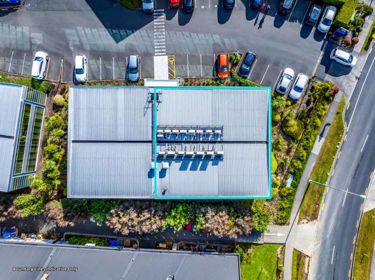 A4, 17 Corinthian Drive Albany_11