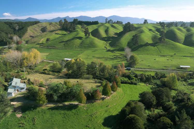 185 Rose Road Upper Moutere_5