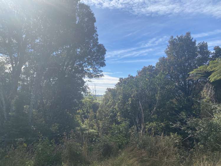 Harrington Mill Road Catlins Surrounds_14