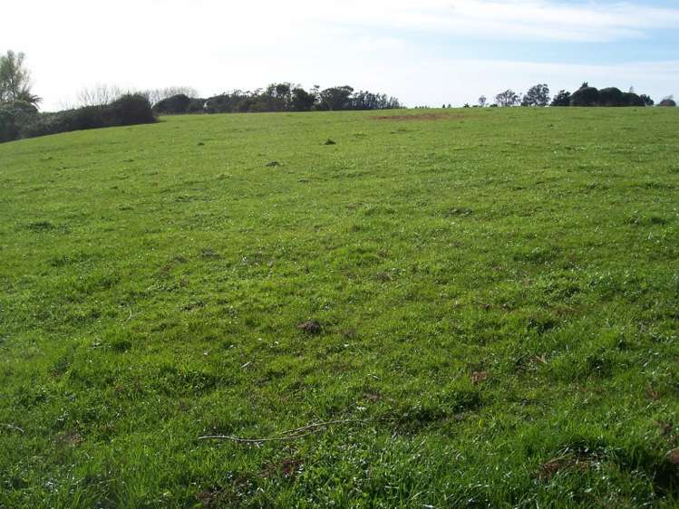 241 Muhunoa East Road Ohau_7