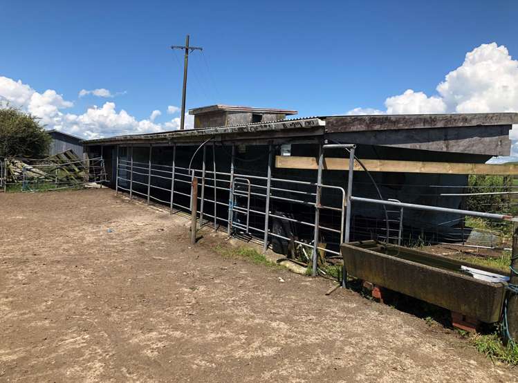 1564 State Highway 31 Kawhia Road Otorohanga_30