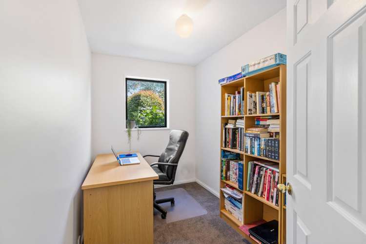 392 Ellesmere Junction Road Springston_9