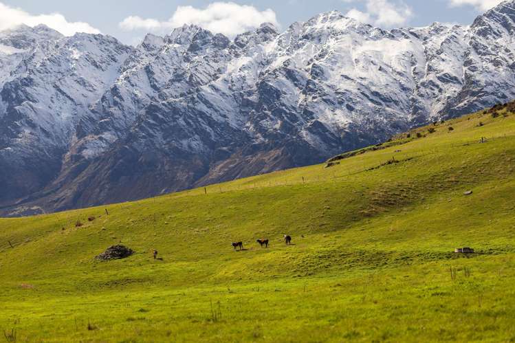 Cecil Peak Station Queenstown_6