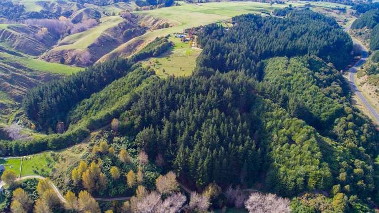 1204j State Highway 3 Kai Iwi_13