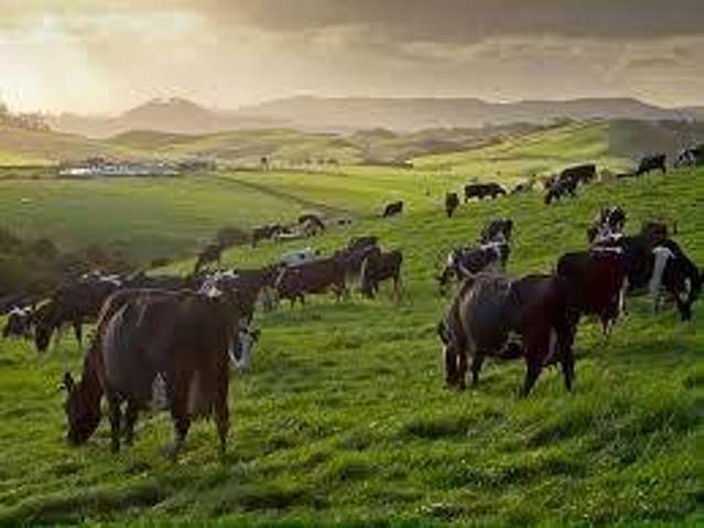 Address withheld Pukekohe_2