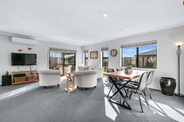 10 Ash Close Levin_4