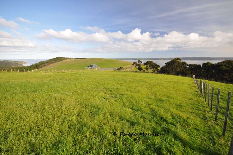 100 Te Wairoa Lane Matakohe_28