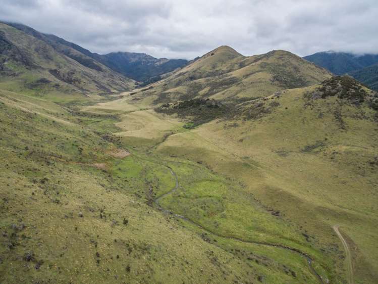 2081 Virginia Road Virginia_9