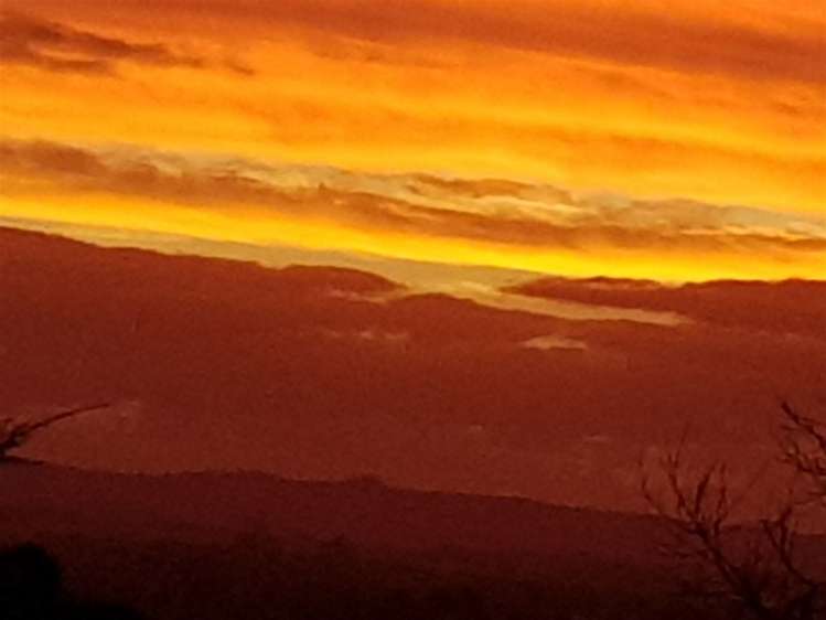 17 Chatham Avenue Paremoremo_18