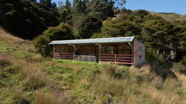 175 Dehra Doon Road, Riwaka Motueka_2