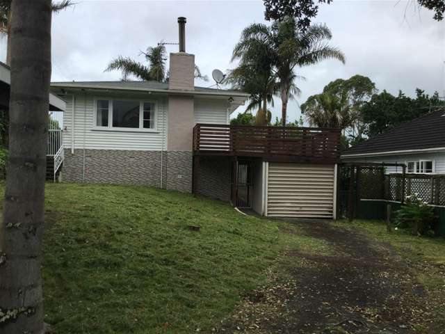 69 Tiverton Street Palmerston_1