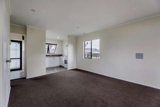 17 Dungarvon Place Clendon Park_4