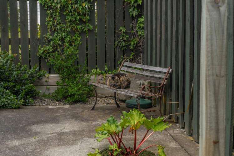 8 Puriri Crescent Masterton_13