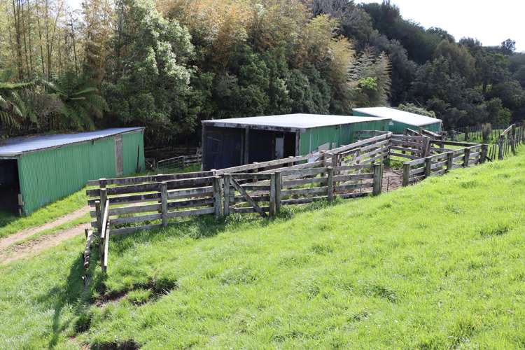 Lt2/310 Henwood Road Bell Block_16