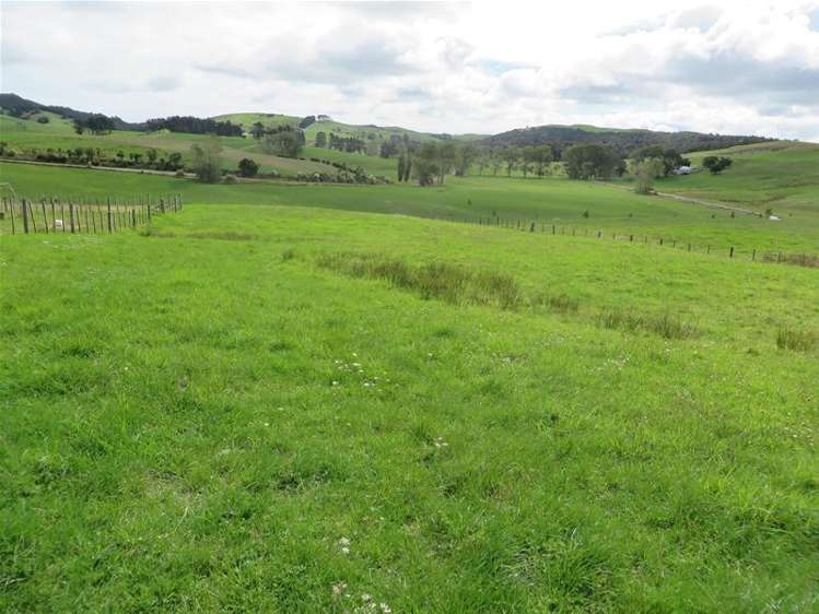 Ovens Road Matakohe_14