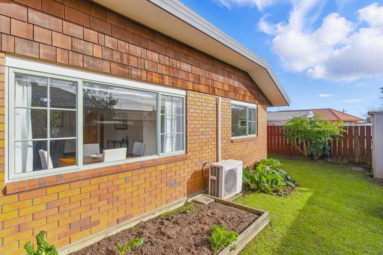 3 Surrey Lane Levin_22