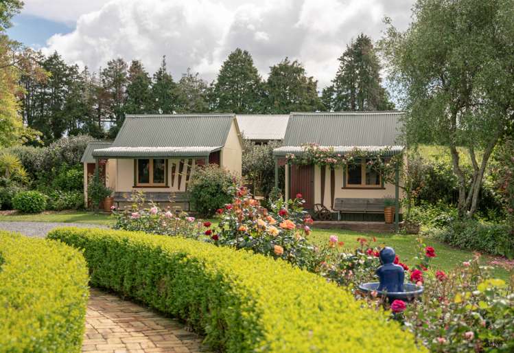 24 Robertson Road Whatawhata_16