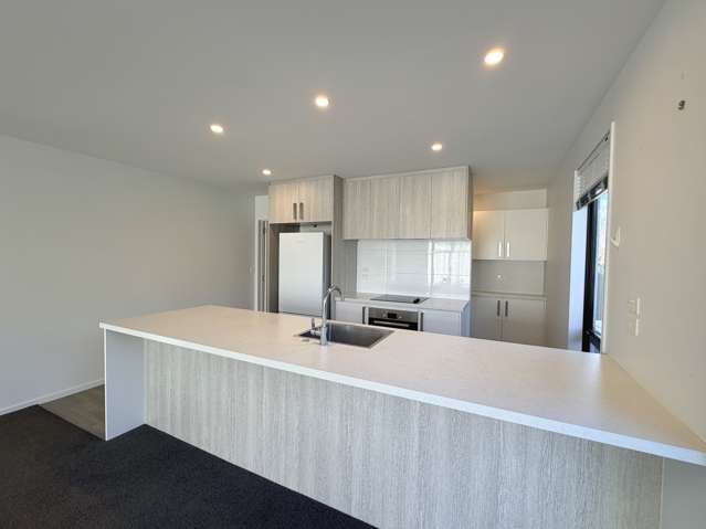 12 Northmoor Boulevard Rolleston_1