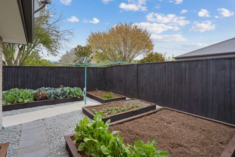 17 Cassidy Avenue Lincoln_23