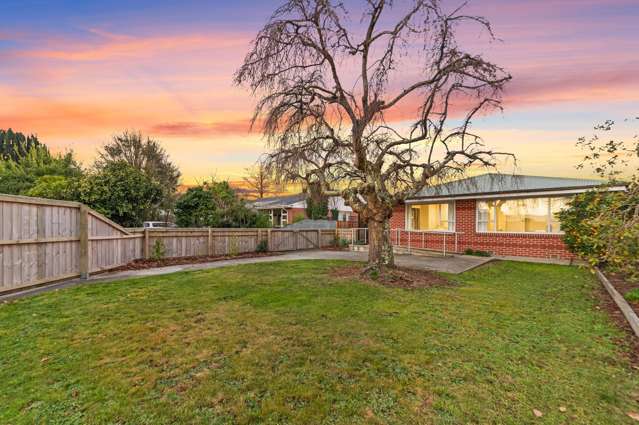 551 Springs Road Prebbleton_4