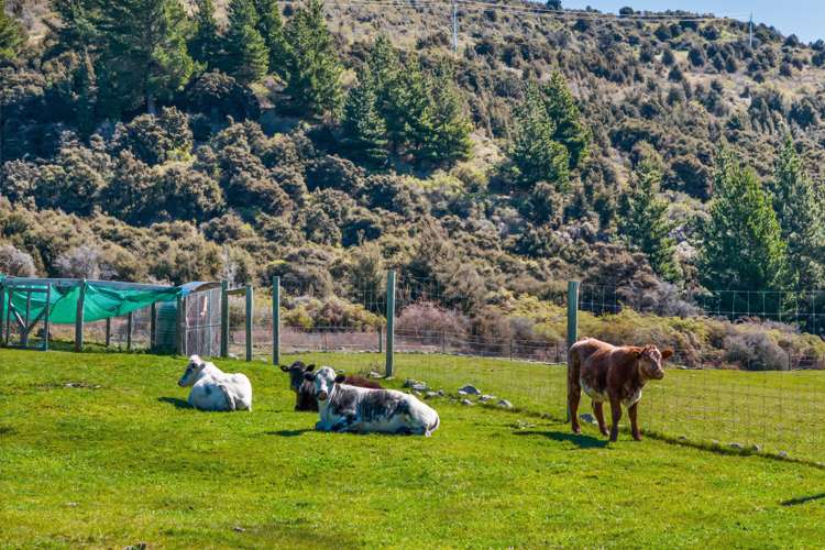 78 Nursery Road Queensberry_19