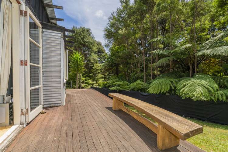 1959 The 309 Road Kaimarama_6