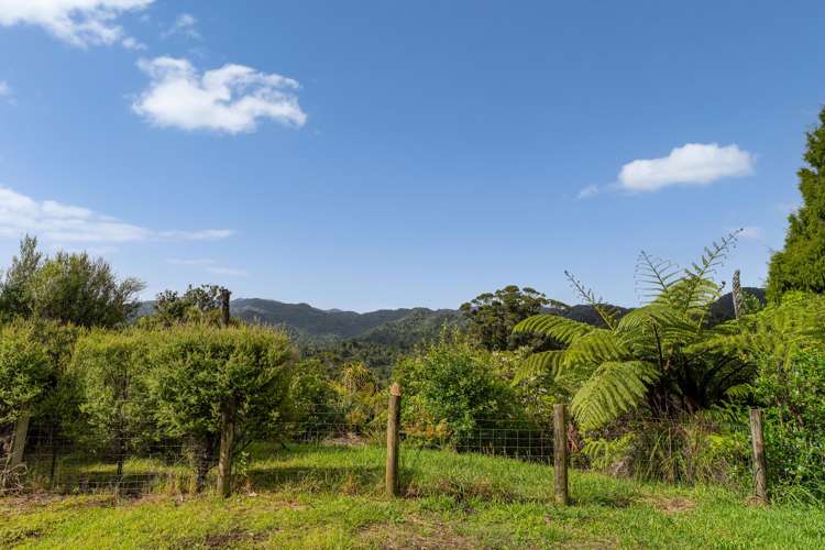 974 The 309 Rd Whitianga_14