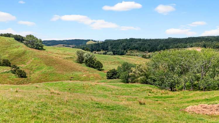 Lot 2 & 3 Otioro Road Kaiwaka_13