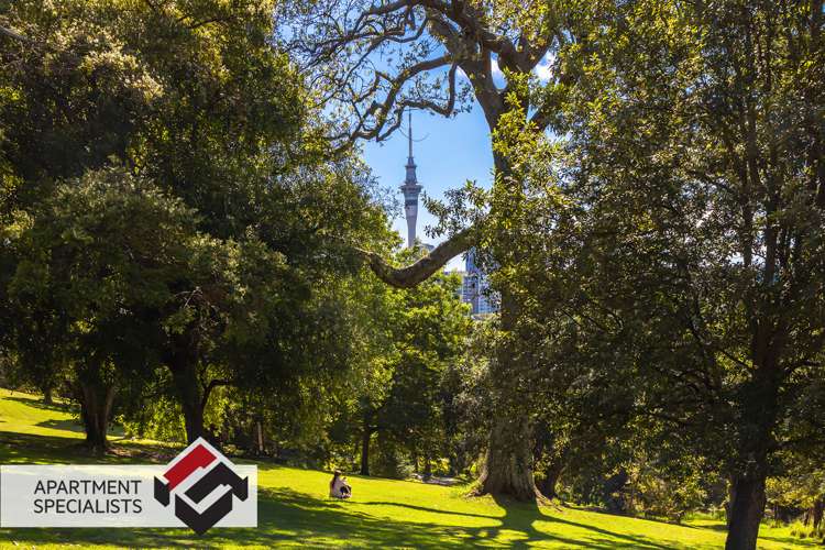 8 Burgoyne Grey Lynn_22
