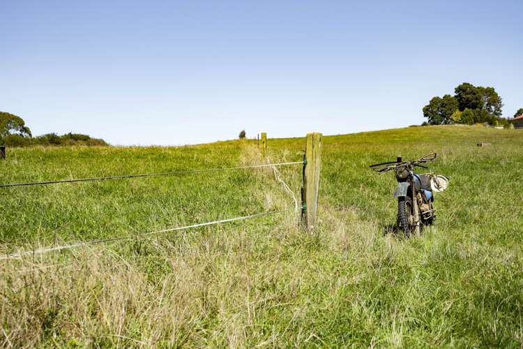 679 State Highway 23 Whatawhata_15