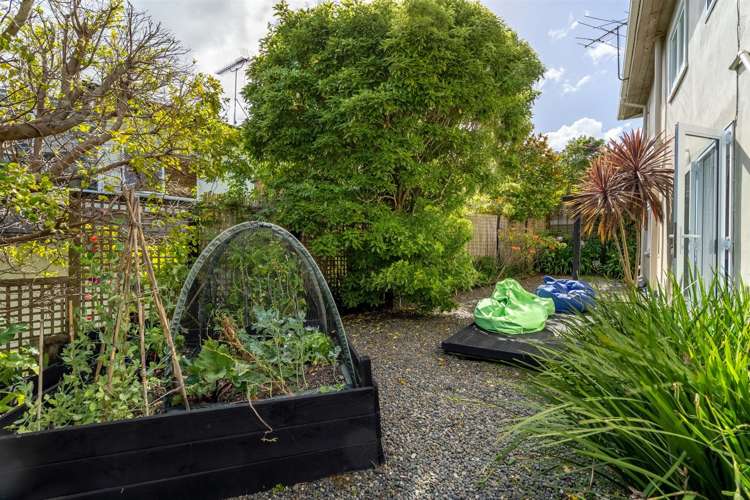 104 Beach Road Castor Bay_23