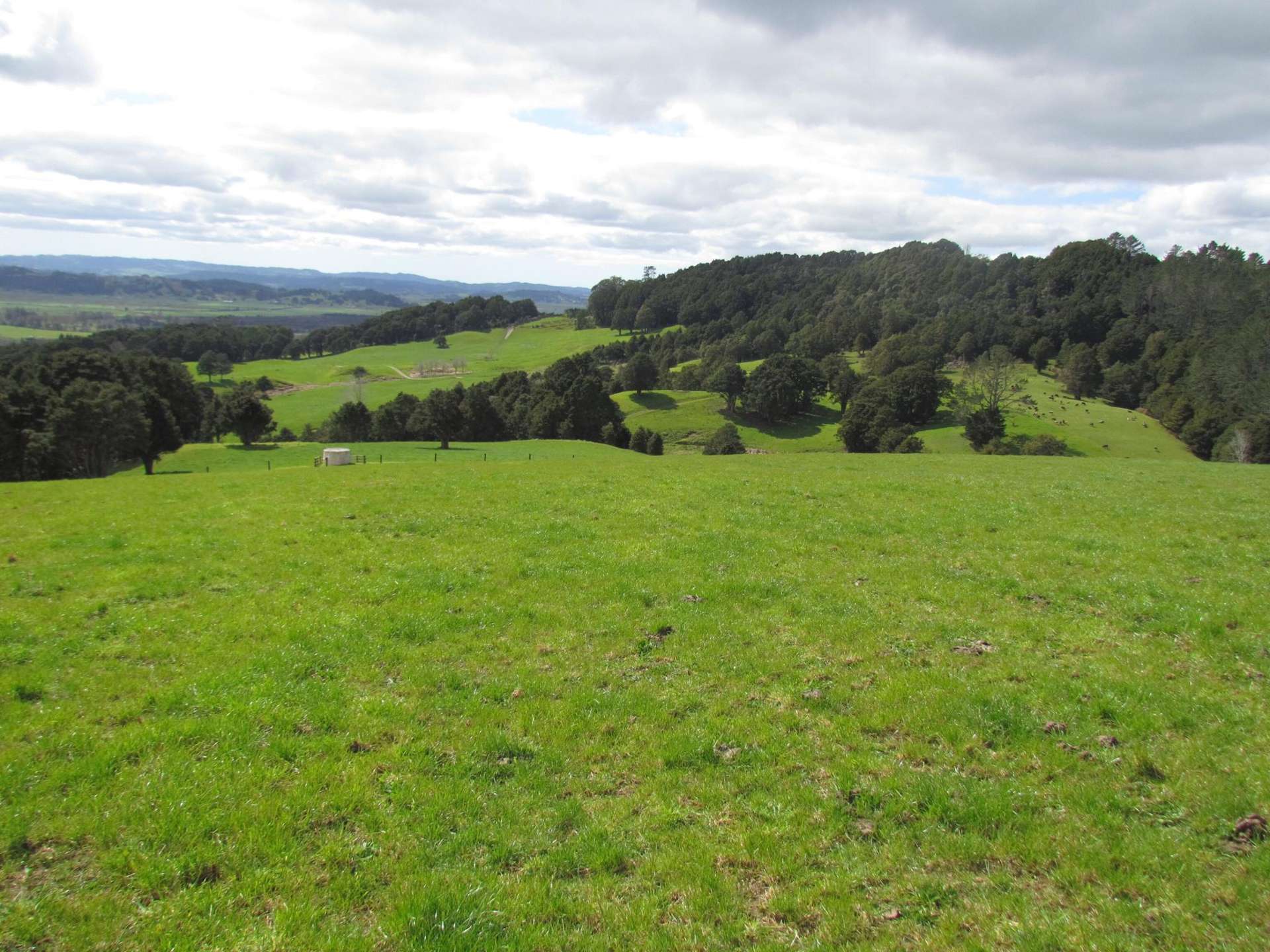 Tremain Road Ruatangata West_0