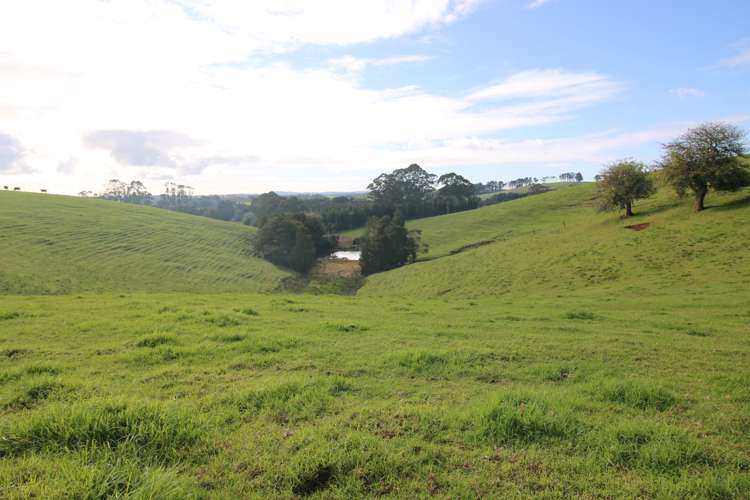 59F Riddell Road Kerikeri_16