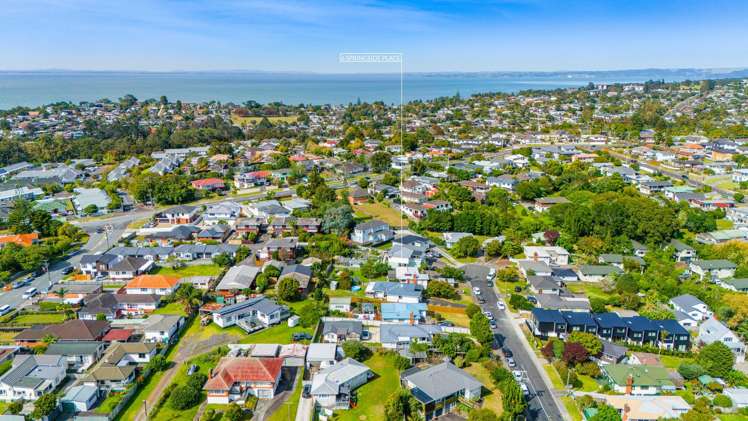 6 Springside Place_3