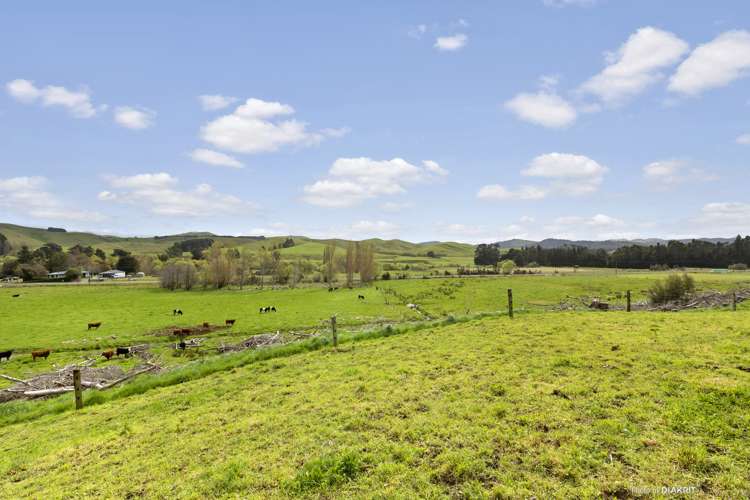 273 Mikimiki Road Mikimiki_12