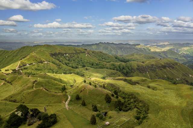 3104 Mangamahu Road Mangamahu_3