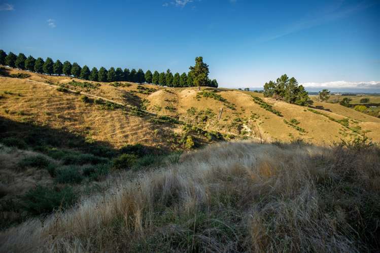 202 Rose Road Upper Moutere_24